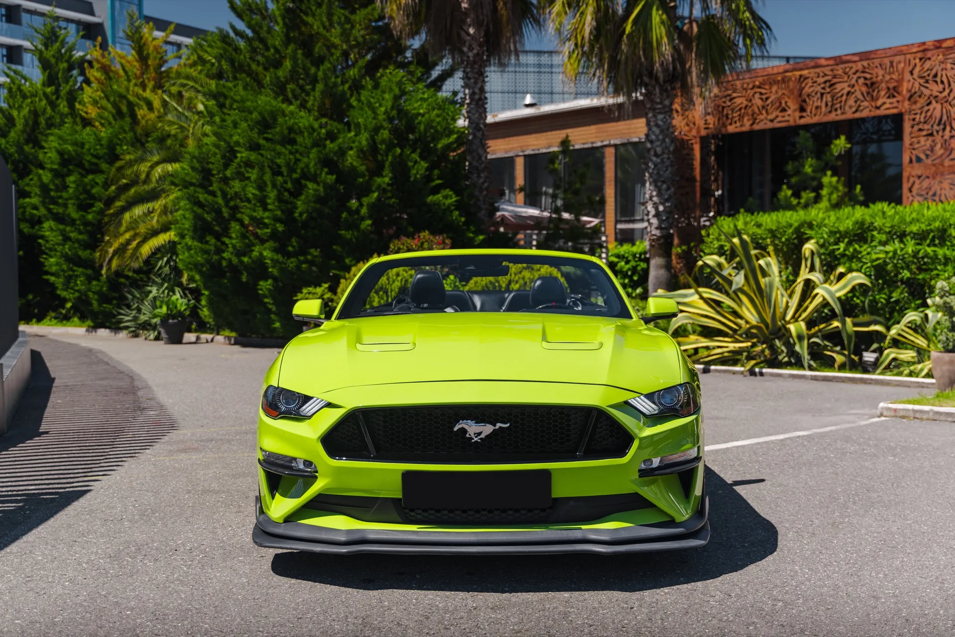 Ford Mustang Green