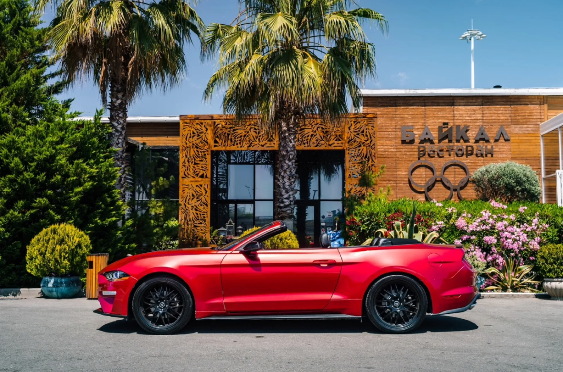 Ford Mustang вишня 281