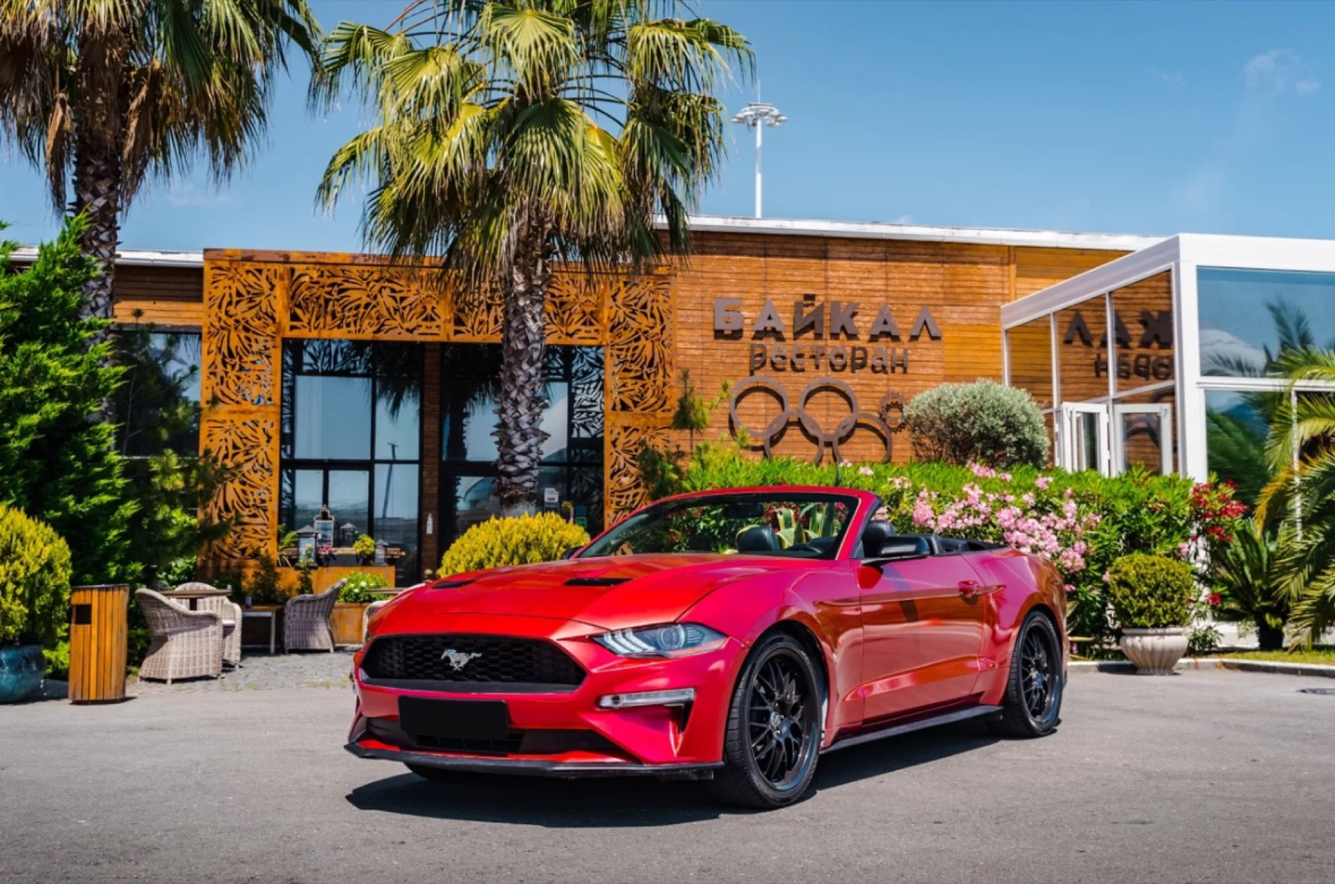 Ford Mustang вишня 281