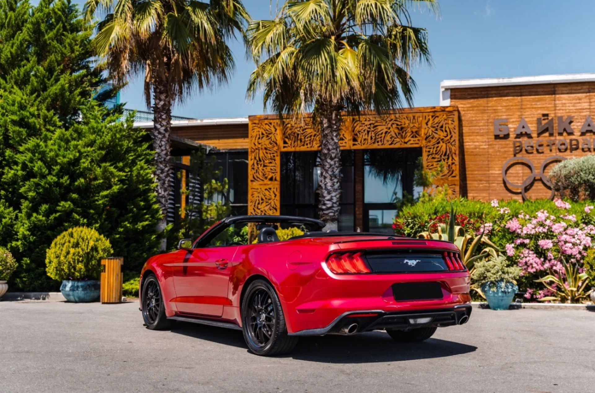Ford Mustang вишня 281