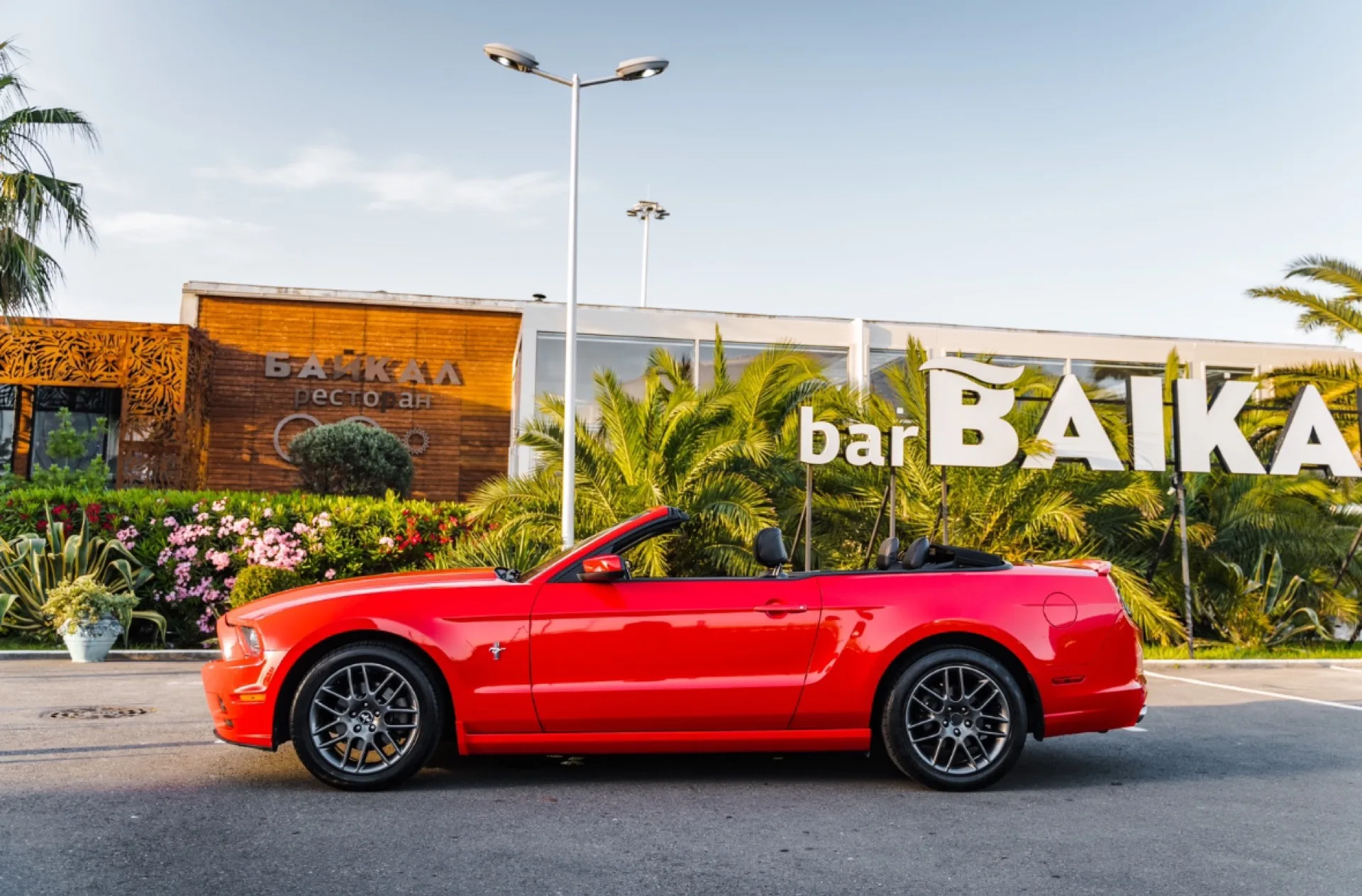 Ford Mustang красный 417
