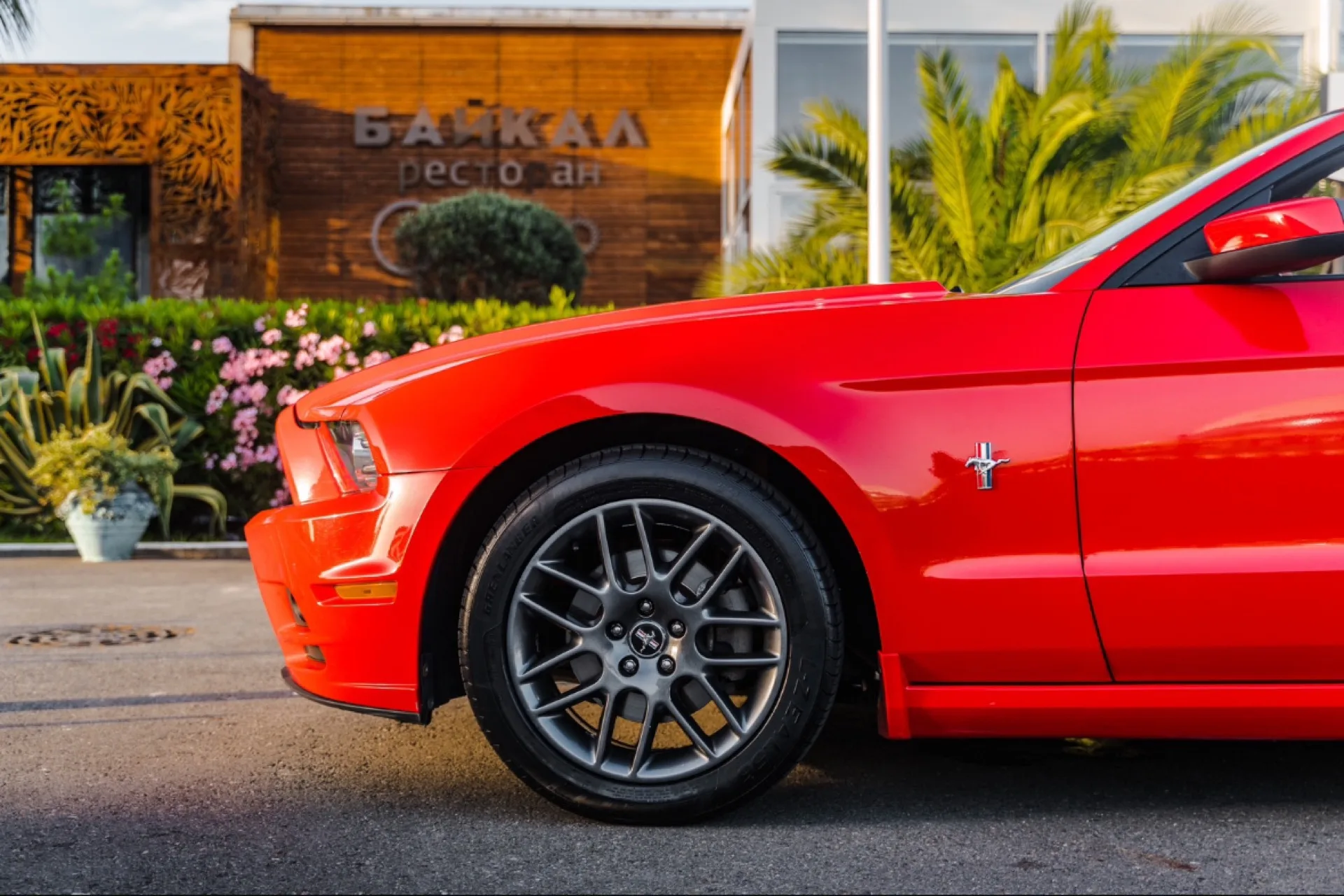 Ford Mustang красный 417