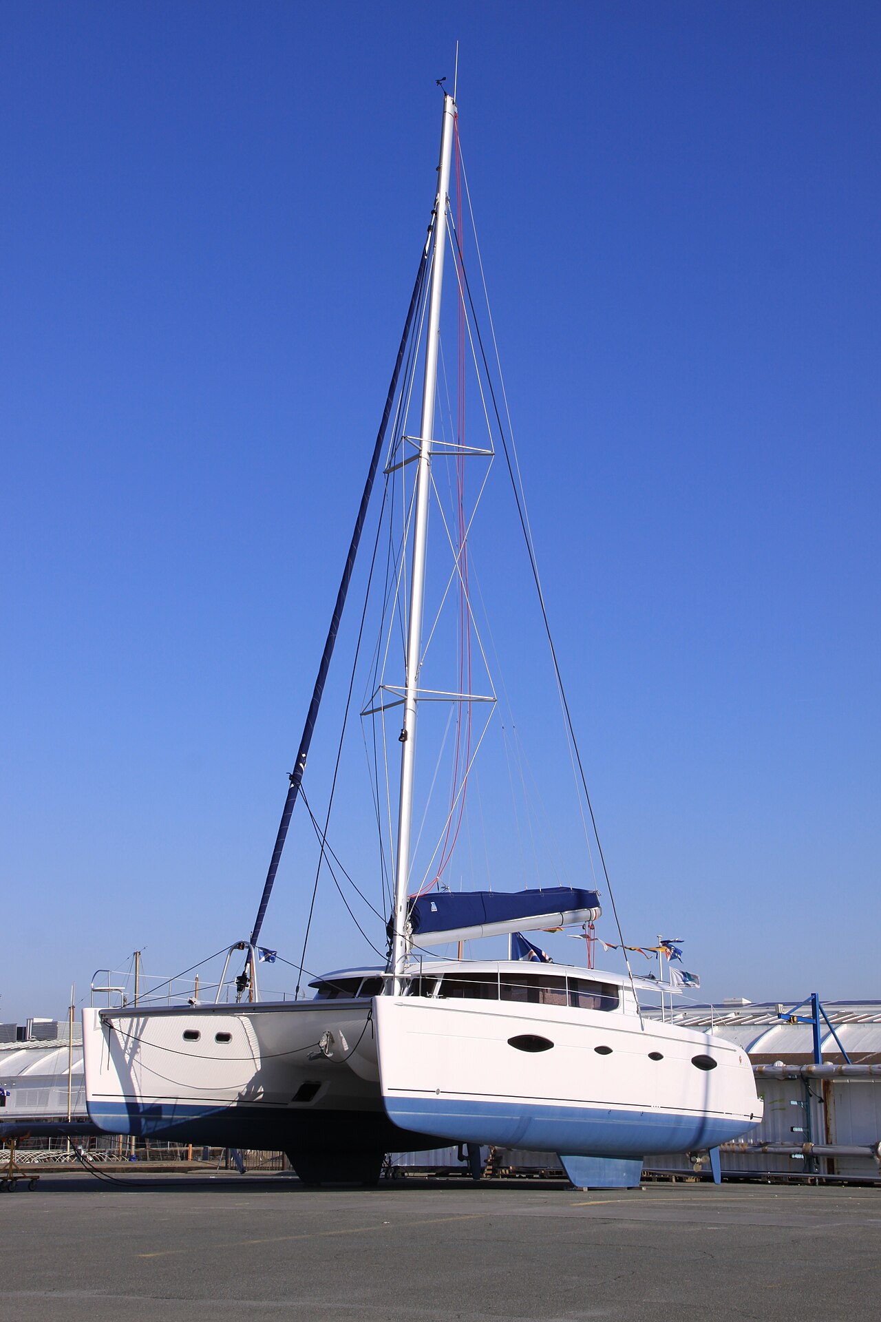 Leopard 45